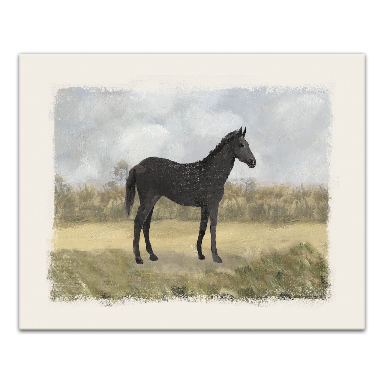 Vintage Horse Portrait 20" x 16" Canvas Wall Art